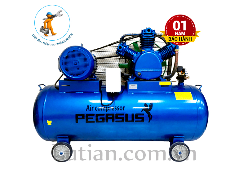 MÁY NÉN KHÍ DÂY ĐAI PEGASUS 500L-10HP